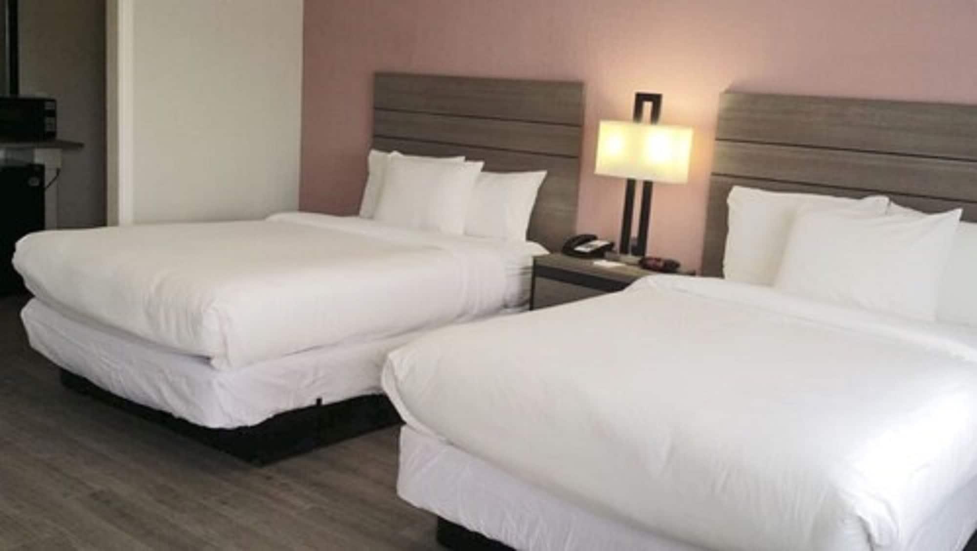 אבילן Econo Lodge Inn & Suites מראה חיצוני תמונה